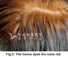 240209095041_Hair-Dying with henna-s.jpg